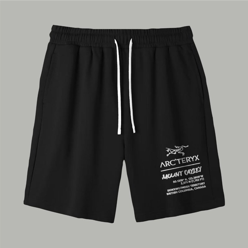 아크테릭스 레트로 로고 루프백 쇼츠 001-186650