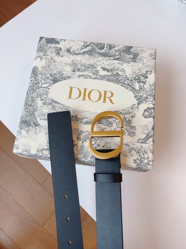 디올 DIOR 클래식 새들 벨트 골드 버클 001-219644