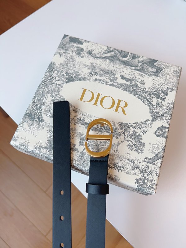디올 Dior 새들 벨트 소가죽 빈티지 골드 버클 001-219646