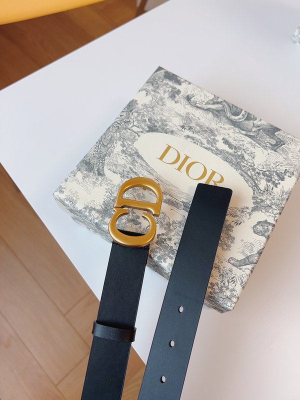 디올 Dior 매끄러운 송아지 가죽 새들 벨트 001-219648