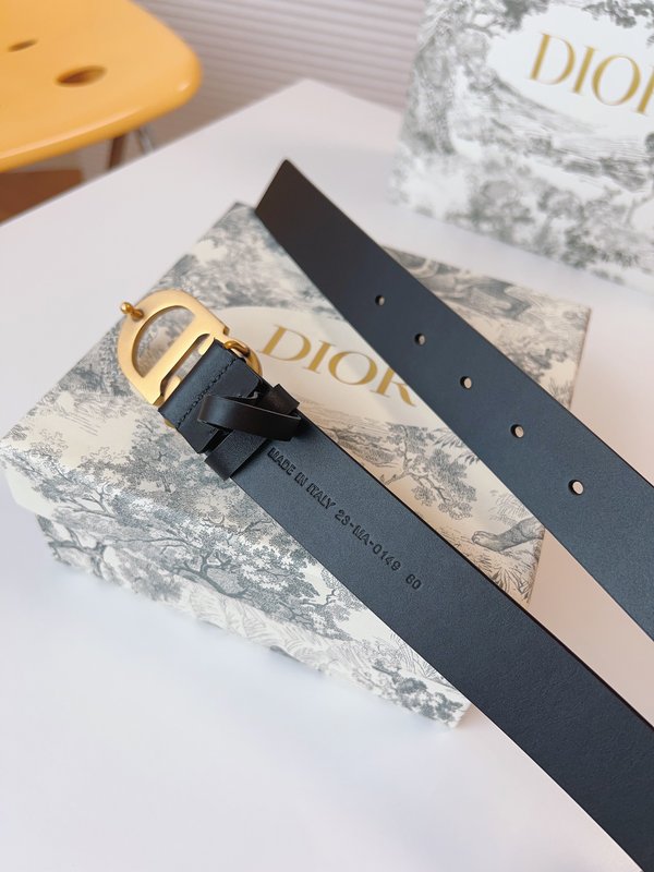 디올 Dior 매끄러운 송아지 가죽 새들 벨트 001-219648