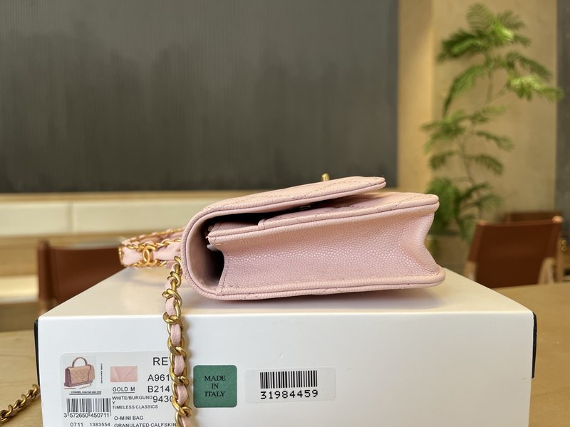 샤넬 더블 C 로고 핸들 WOC 백 001-223273