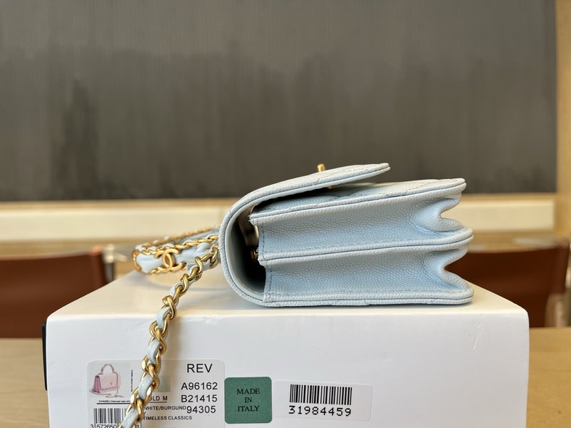 샤넬 더블 C 로고 아코디언 백 001-223294