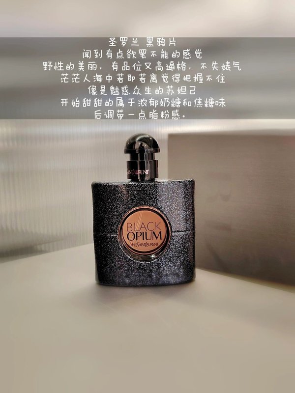 이브생로랑 향수 시리즈 001-234803