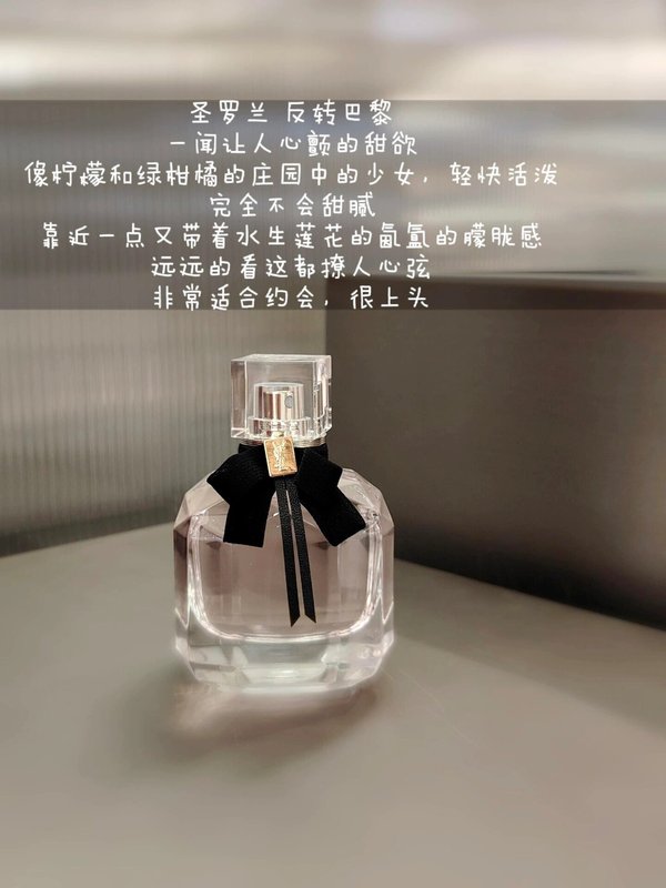 이브생로랑 향수 시리즈 001-234803