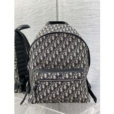디올 오블리크 복고풍 더블지백 라지 001-235027