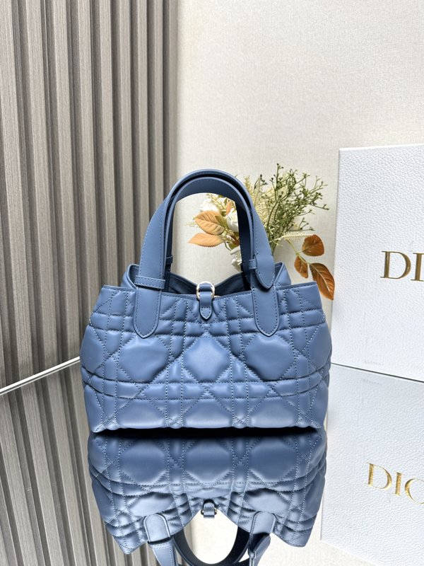 디올 블루 스몰 토트백 001-235076