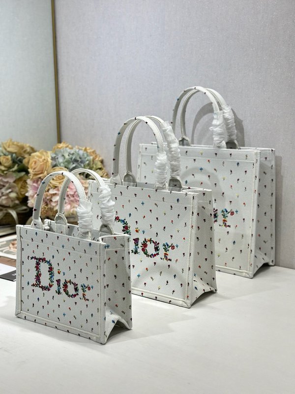 디올 클래식 오블리크 패턴 쇼핑백 001-235193