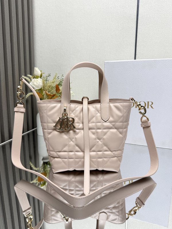 디올 투주르 세로형 미니 숄더백 001-235456