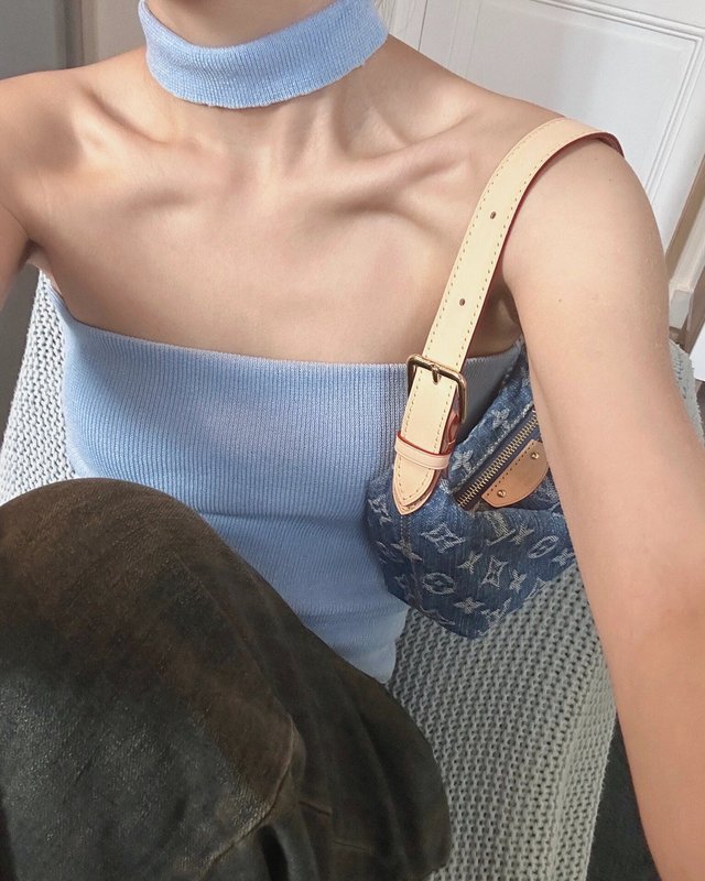 루이비통 데님 파피용 가방 001-248561