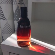 디올 Fahrenheit 남성용 오드뚜렛 100ml 001-254509