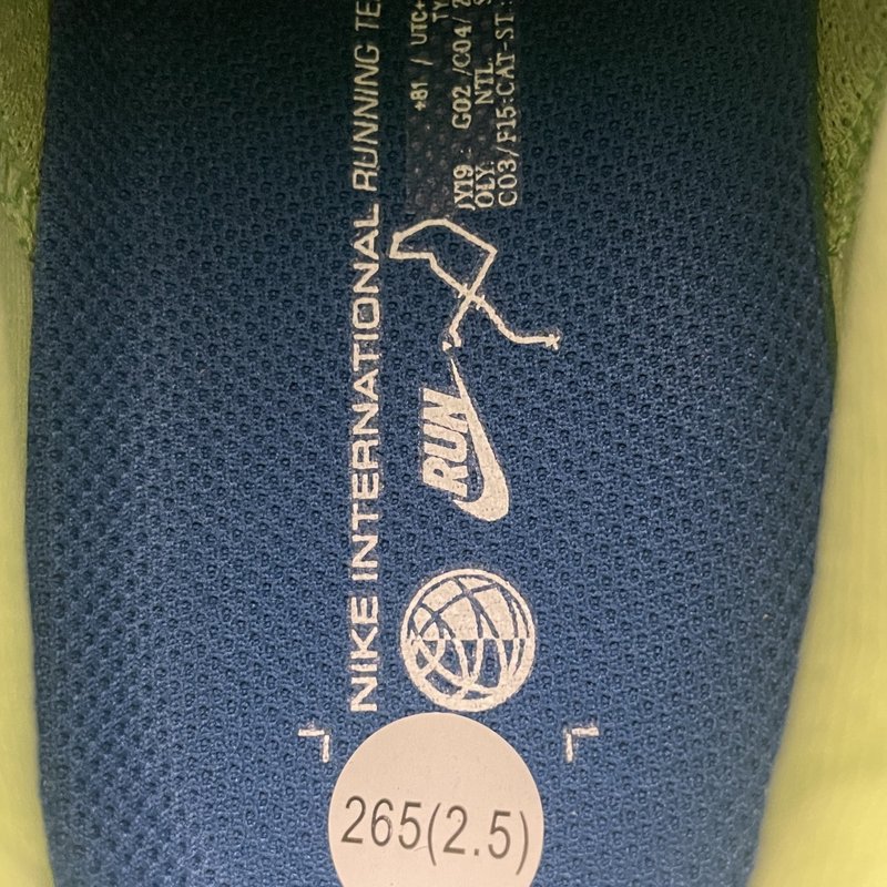 나이키 페가수스 41 메쉬 러닝화 001-259336