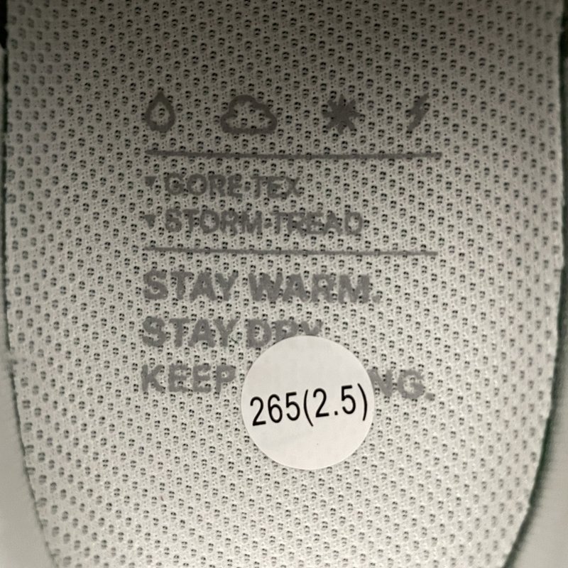 나이키 페가수스 41 메쉬 러닝화 001-259344