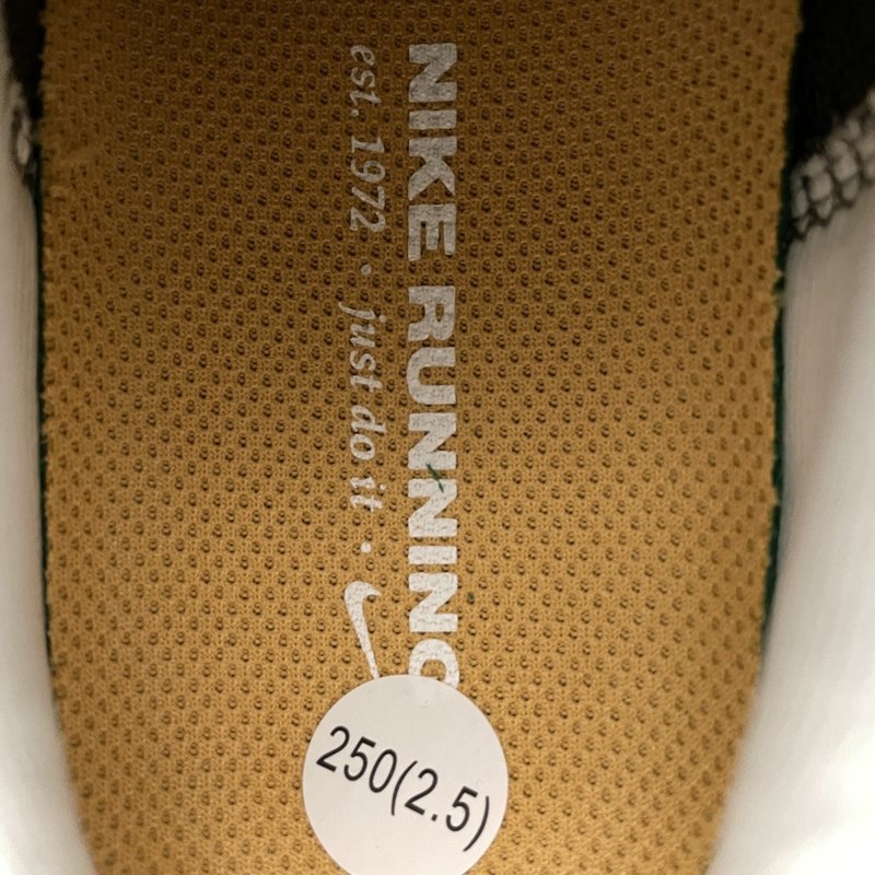 나이키 페가수스 41 메쉬 러닝화 001-259366