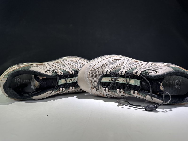 SALOMON XT-QUEST GTX 탐험가 시리즈 아 001-270730