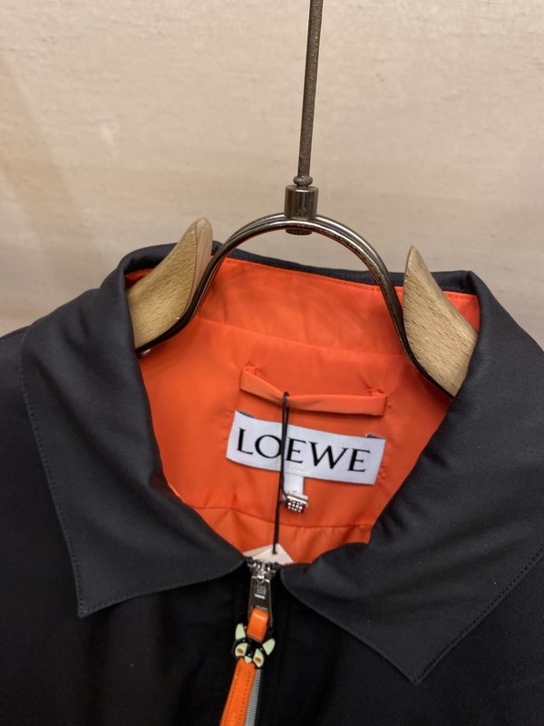 Loewe 루이스 웨인 고양이 프린트 자켓 001-274930