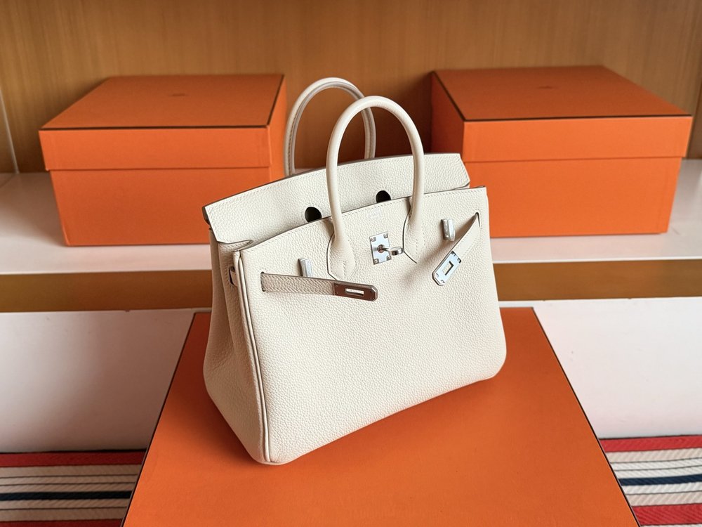 에르메스 버킨 25cm 토고 가죽 실버 버클 핸드백 001-283393